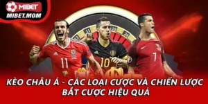 Kinh Nghiệm Bắt Kèo Châu Á Chuẩn Xác Nhất Tại Mibet